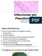 Infecciones Por Pseudomonas
