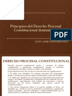 Principios Del Derecho Procesal Constitucional