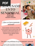 Procesamiento Sensorial