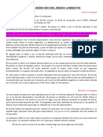 Apuntes Derecho Del Medio Ambiente