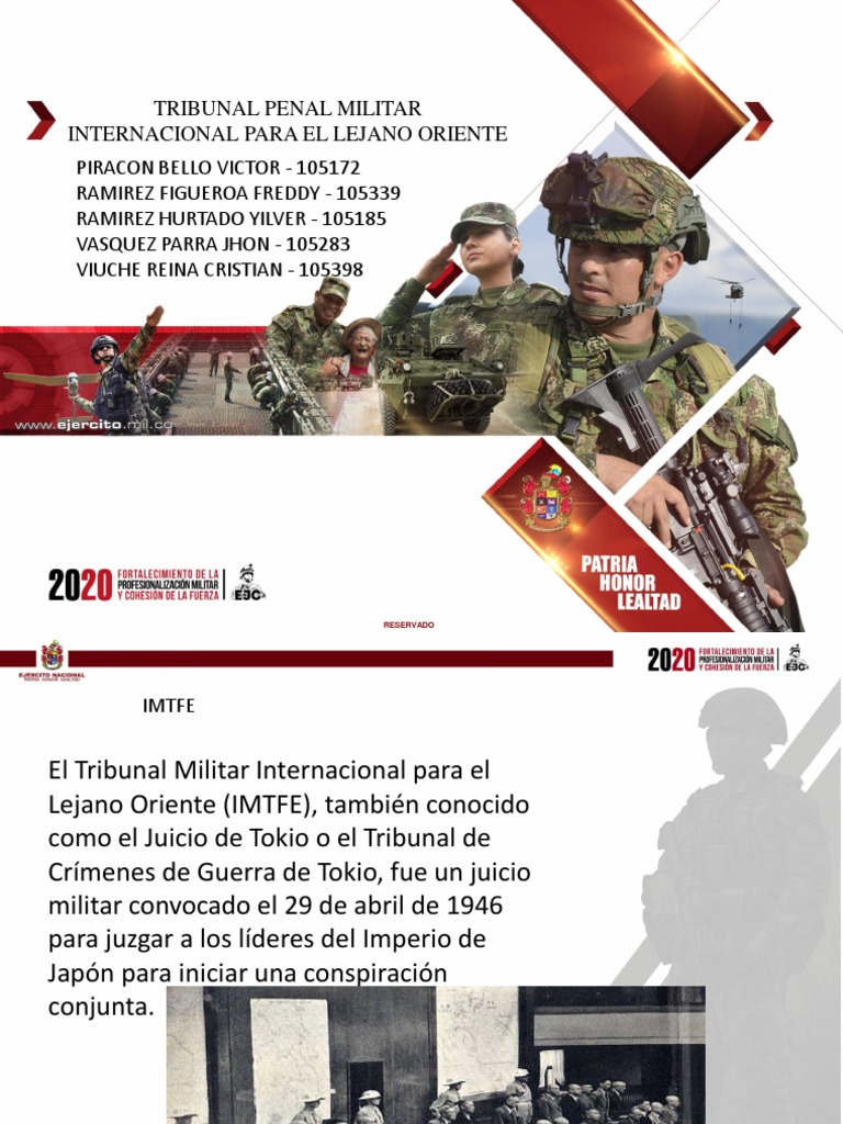 Tribunal Penal Internacional PDF | PDF | Genocidios | Derecho penal