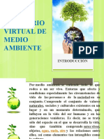 Seminario Virtual de Medio Ambiente Leccion 1