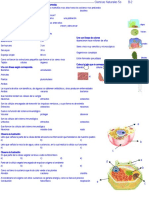 Examen 5o B-2.ppt