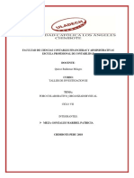 Foro Colaborativo - Organizador Visual - Maribel PDF