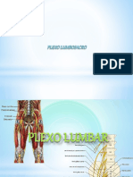 Plexolumbosacroprofe Copia 150526004026 Lva1 App6892