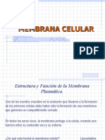 7 Clase Membranas y Endomembranas