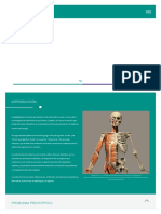 Tema 1. Anatomía de Aparatos y Sistemas