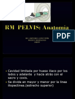 Pelvis -ANATOMIA
