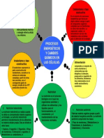 Procesos Energéticos y Cambios Químicos en Las Células.