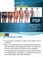 Clase 1, Generalidades Anatomia