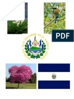 Simbolos patrios de El Salvador