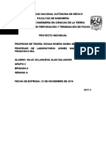 Proyecto-Individual-Valle-JUarez-Ricardo-A.docx