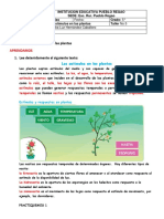 Taller Los Estimulos en Las Plantas PDF