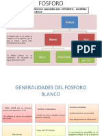 Fosforo 4C PDF
