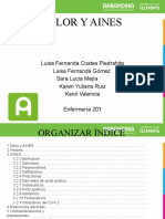 Seminario Aines 201 Enfermeria