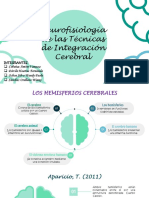 Tecnicas de Integracion Cerebral PDF