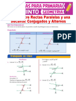 Ángulos Alternos y Conjugados para Quinto de Primaria