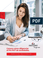 Paso A Paso Elaboracion Pre RUT PDF