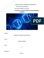 Informe 1: Cuantificaciòn de ADN