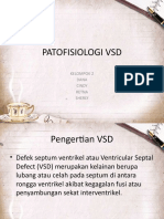 Kel. 2 Kep - Ank (Patofisiologi VSD)