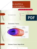 Anatomía Safena Externa e Interna
