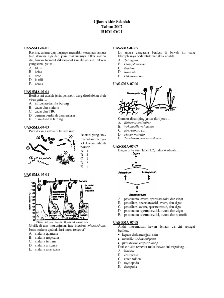 Contoh Soal Biologi Sma  Riset