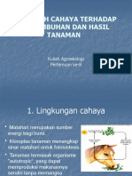 PengaruhCahayaTerhadapPertumbuhanDanHasilTanaman