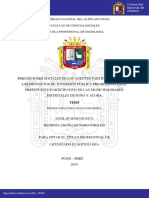 Percepciones Sociales de Los Agentes Participantes PDF