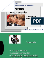 Direccion Empresarial PDF