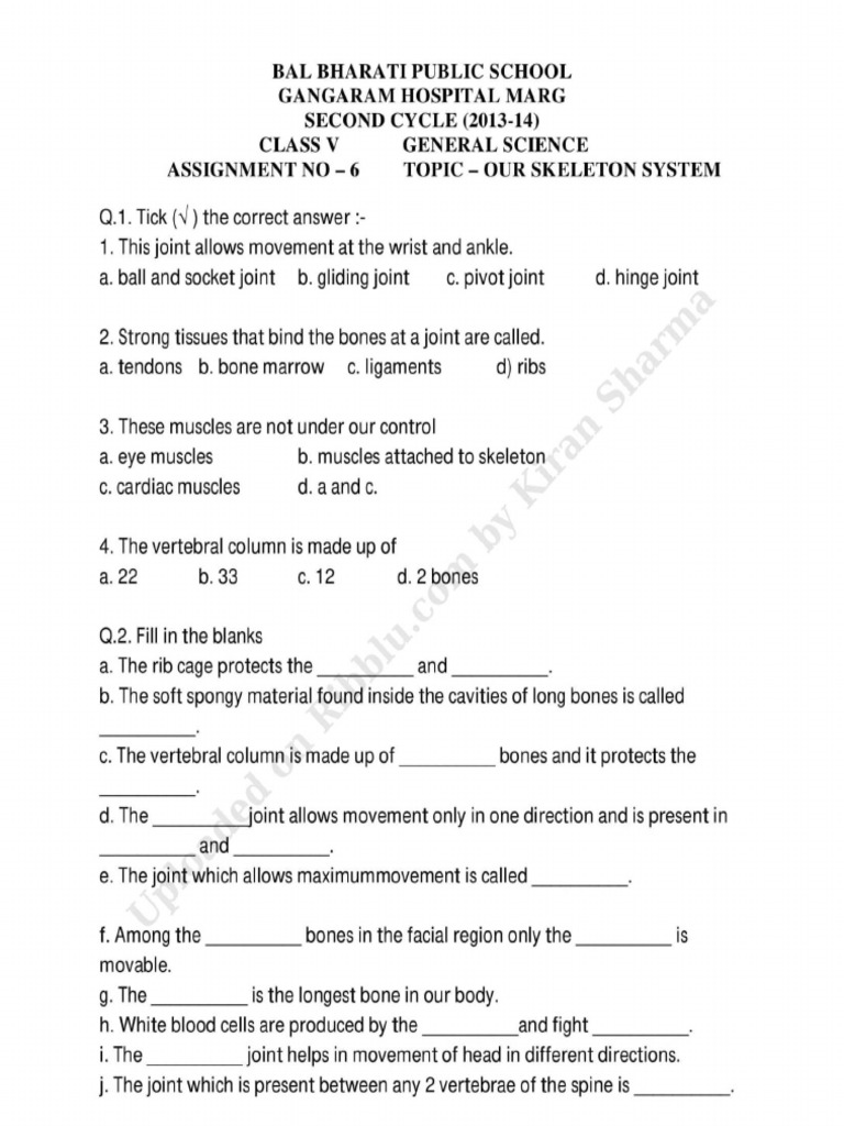 class 5 science worksheets assignments our skeleton system pdf