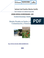 Metales Pesados en Suelos y Plantas - Contaminacion y Fitotoxicidad PDF