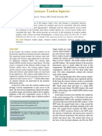 Lesiones Extensores PDF