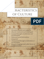Characteristics of Culture Explained