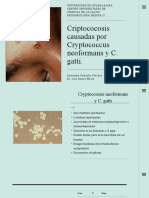Criptococosis Causada Por Cryptococcus