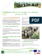 Porc2 Dossier Quelques Cla S P