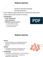 Babesia Species: - Order: Piroplasmida - Family: Babesiidae - Medically Important Species