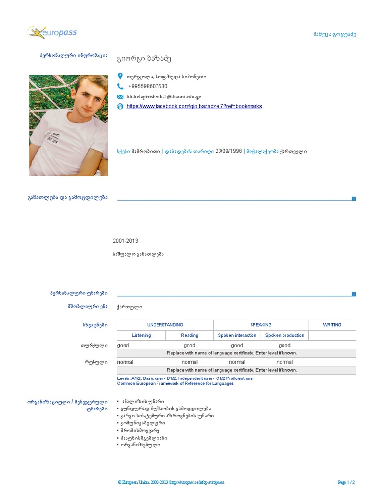CV ფორმა 1 | PDF