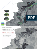 4matriz Vegetacional PDF