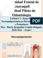 Unidad 2 TEMA 2 SEPTIMO SEMESTRE NECROPULPECTOMIA