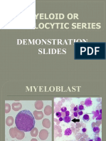 Myeloid Series Demonstration Slides.pptx