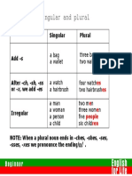 Unit 17 - Plurals (Rules)