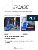Staircase: What Muscles Does A Stair Climber Work?