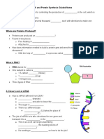 Rna and Protein Synthesis Guided Notes