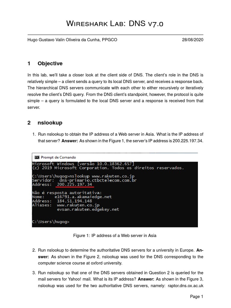 DNS Client Analysis Lab | PDF | Domain Name System | Port (Computer ...