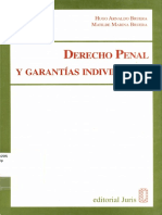_derecho_penal_y_garantias_individuales.pdf