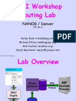 110612.nanog-jlab.pdf