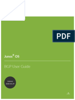 BGP Protocol Juniper PDF