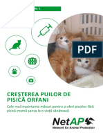 Cresterea-puilor-de-pisica-orfani.pdf
