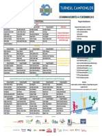 Program Turneul Campionilor 14-15.12.2013