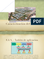 Caracterización Proyecto - Ambiente PDF